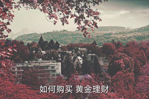 股票賬戶能買黃金嗎,剛開(kāi)的股票賬戶能買什么