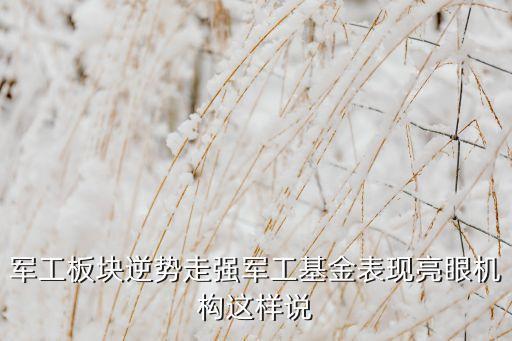 軍工板塊逆勢走強軍工基金表現(xiàn)亮眼機構這樣說