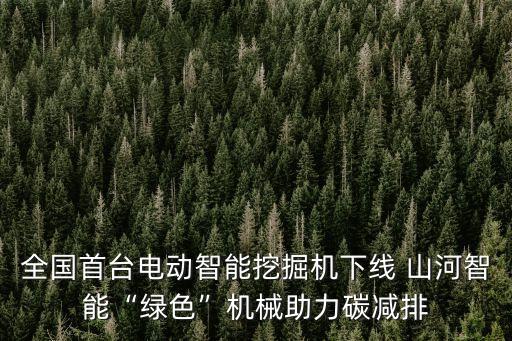 山河集團(tuán)董事長,武漢山河集團(tuán)董事長