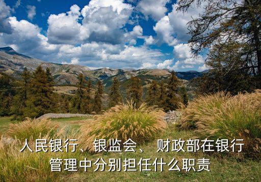  人民銀行、銀監(jiān)會(huì)、 財(cái)政部在銀行管理中分別擔(dān)任什么職責(zé)
