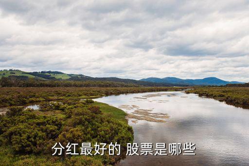 派息高的股票,派息的股票是持有還是賣(mài)掉好?