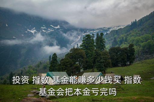 投資 指數 基金能賺多少錢買 指數 基金會把本金虧完嗎