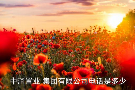  中潤(rùn)置業(yè) 集團(tuán)有限公司電話是多少