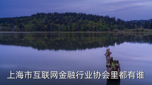 上海市互聯(lián)網(wǎng)金融行業(yè)協(xié)會(huì)里都有誰