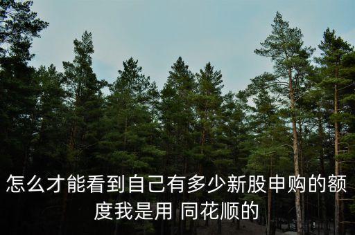 怎么才能看到自己有多少新股申購(gòu)的額度我是用 同花順的