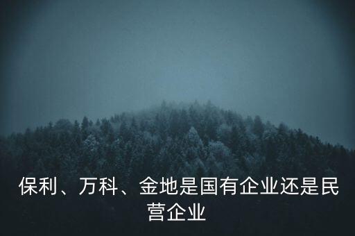  保利、萬科、金地是國有企業(yè)還是民營企業(yè)