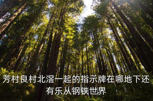 芳村良村北滘一起的指示牌在哪地下還有樂(lè)從鋼鐵世界