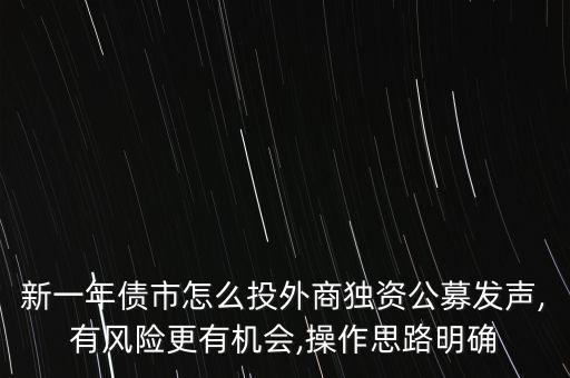 新一年債市怎么投外商獨(dú)資公募發(fā)聲,有風(fēng)險(xiǎn)更有機(jī)會,操作思路明確