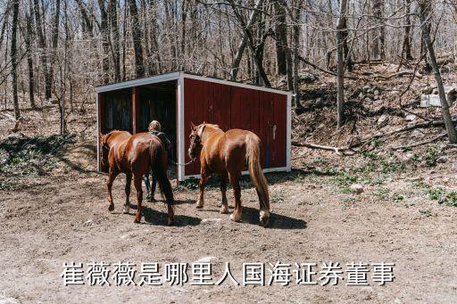 國(guó)投藥業(yè)投資有限公司李欣瑞,深圳國(guó)投藥業(yè)有限公司孫一良