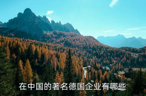 在中國的著名德國企業(yè)有哪些