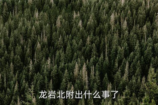 龍洲運(yùn)輸公司,龍巖市龍洲運(yùn)輸公司