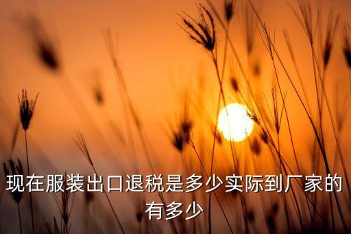 現(xiàn)在服裝出口退稅是多少實(shí)際到廠(chǎng)家的有多少