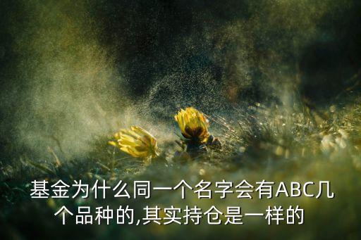 為什么有的基金有兩個基金經理