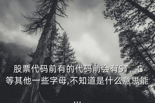  股票代碼前有的代碼前會(huì)有ST、G等其他一些字母,不知道是什么意思能...