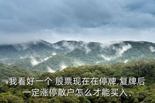我看好一個(gè) 股票現(xiàn)在在停牌,復(fù)牌后一定漲停散戶怎么才能買入、