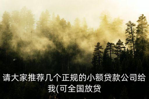 請大家推薦幾個(gè)正規(guī)的小額貸款公司給我(可全國放貸