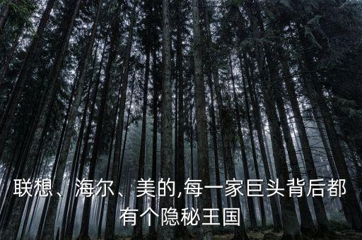 聯(lián)想、海爾、美的,每一家巨頭背后都有個(gè)隱秘王國(guó)