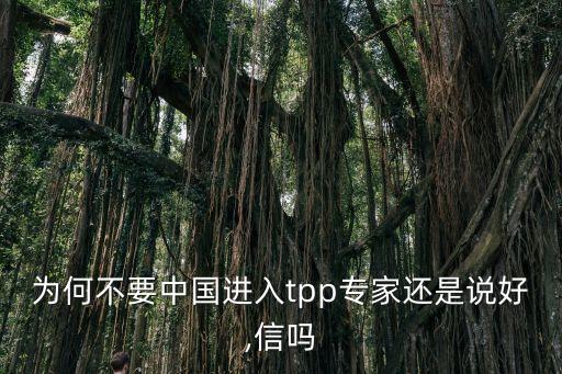 為何不要中國(guó)進(jìn)入tpp專家還是說(shuō)好,信嗎
