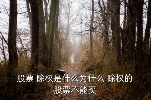  股票 除權(quán)是什么為什么 除權(quán)的 股票不能買(mǎi)