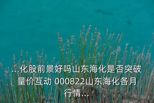 ...化股前景好嗎山東?；欠裢黄屏?jī)r(jià)互動(dòng) 000822山東?；髟滦星?..