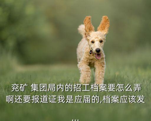  兗礦 集團局內的招工檔案要怎么弄啊還要報道證我是應屆的,檔案應該發(fā)...