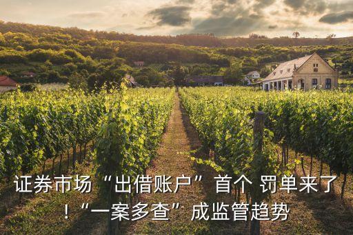 證券市場“出借賬戶”首個(gè) 罰單來了!“一案多查”成監(jiān)管趨勢