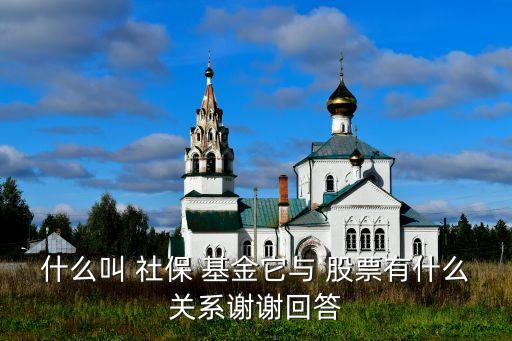 全國(guó)社?；鹜顿Y的股票,社?；?023年投資的股票