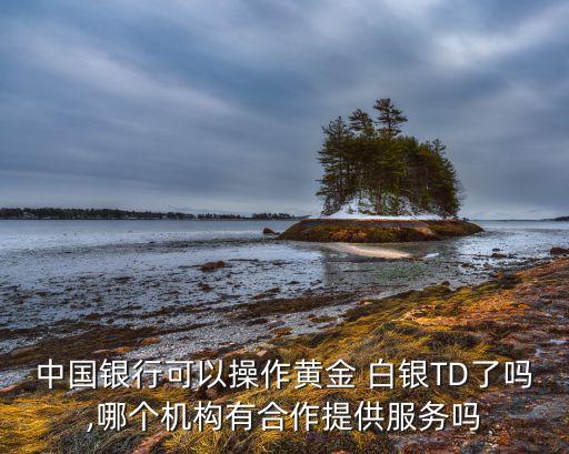 中國銀行可以操作黃金 白銀TD了嗎,哪個機構(gòu)有合作提供服務(wù)嗎
