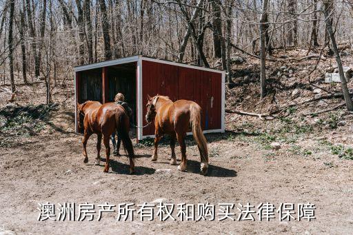 澳洲房產(chǎn)所有權(quán)和購(gòu)買(mǎi)法律保障
