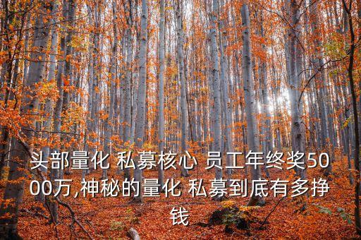 頭部量化 私募核心 員工年終獎(jiǎng)5000萬(wàn),神秘的量化 私募到底有多掙錢(qián)
