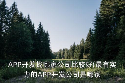 APP開發(fā)找哪家公司比較好(最有實(shí)力的APP開發(fā)公司是哪家