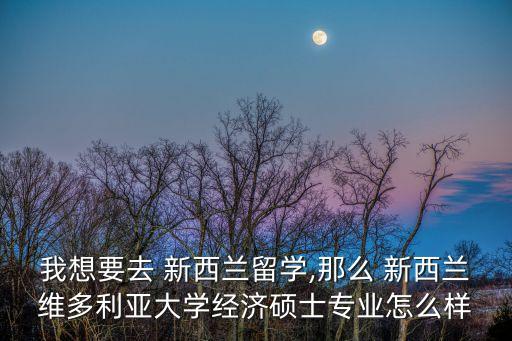 我想要去 新西蘭留學(xué),那么 新西蘭維多利亞大學(xué)經(jīng)濟碩士專業(yè)怎么樣