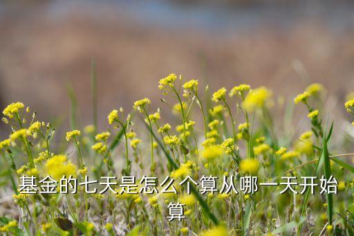 貨幣基金計(jì)算收益時間,場內(nèi)貨幣基金收益計(jì)算