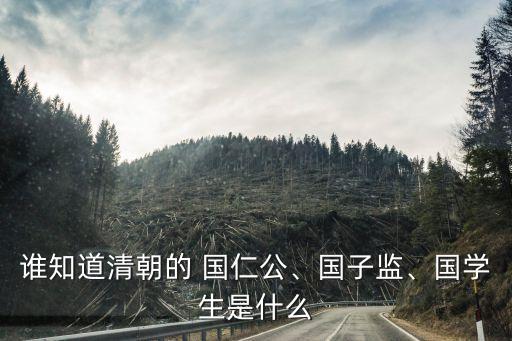 誰(shuí)知道清朝的 國(guó)仁公、國(guó)子監(jiān)、國(guó)學(xué)生是什么