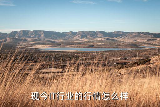 現今IT行業(yè)的行情怎么樣