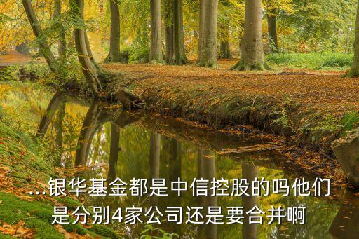 上海久事集團股票,上海國盛集團股票