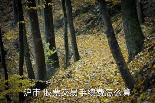 上海股票過(guò)戶費(fèi)怎么收,股票過(guò)戶費(fèi)只有上海收嗎