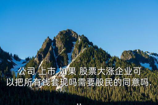  公司 上市,如果 股票大漲企業(yè)可以把所有錢(qián)套現(xiàn)嗎需要股民的同意嗎...