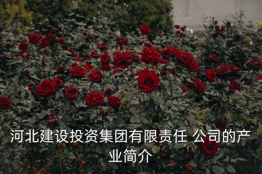 河北建設(shè)投資集團有限責(zé)任 公司的產(chǎn)業(yè)簡介