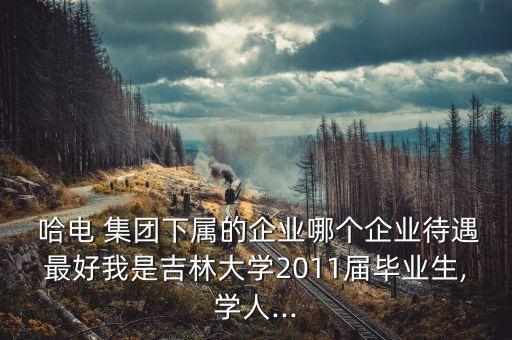  哈電 集團下屬的企業(yè)哪個企業(yè)待遇最好我是吉林大學(xué)2011屆畢業(yè)生,學(xué)人...