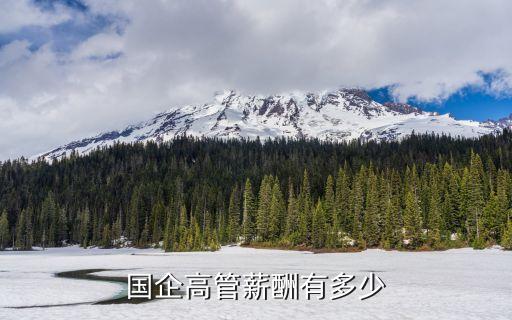 公司董事長(zhǎng)有多少工資,任兩個(gè)公司董事長(zhǎng)怎么領(lǐng)工資