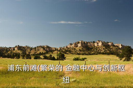 中國(guó)金融發(fā)展的重慶實(shí)踐,互聯(lián)網(wǎng)金融實(shí)踐發(fā)展出現(xiàn)問(wèn)題的原因