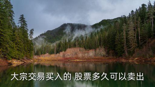 大宗交易買(mǎi)入的 股票多久可以賣出