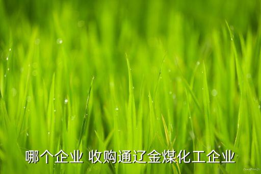 哪個(gè)企業(yè) 收購(gòu)?fù)ㄟ|金煤化工企業(yè)