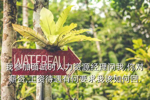 我參加面試時(shí)人力資源經(jīng)理問我,你對(duì)薪資,工資待遇有何要求我該如何回...