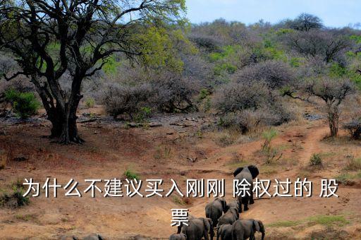 為什么不建議買(mǎi)入剛剛 除權(quán)過(guò)的 股票