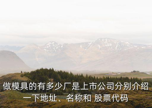 做模具的有多少廠是上市公司分別介紹一下地址、名稱和 股票代碼