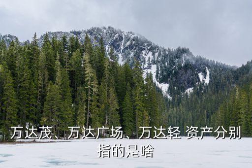 萬達(dá)茂、萬達(dá)廣場、萬達(dá)輕 資產(chǎn)分別指的是啥