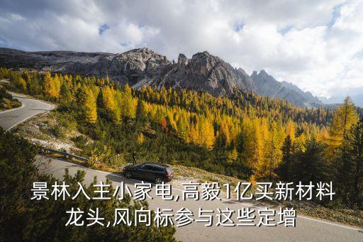  景林入主小家電,高毅1億買新材料龍頭,風(fēng)向標參與這些定增