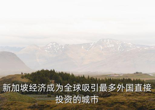 新加坡經(jīng)濟成為全球吸引最多外國直接投資的城市